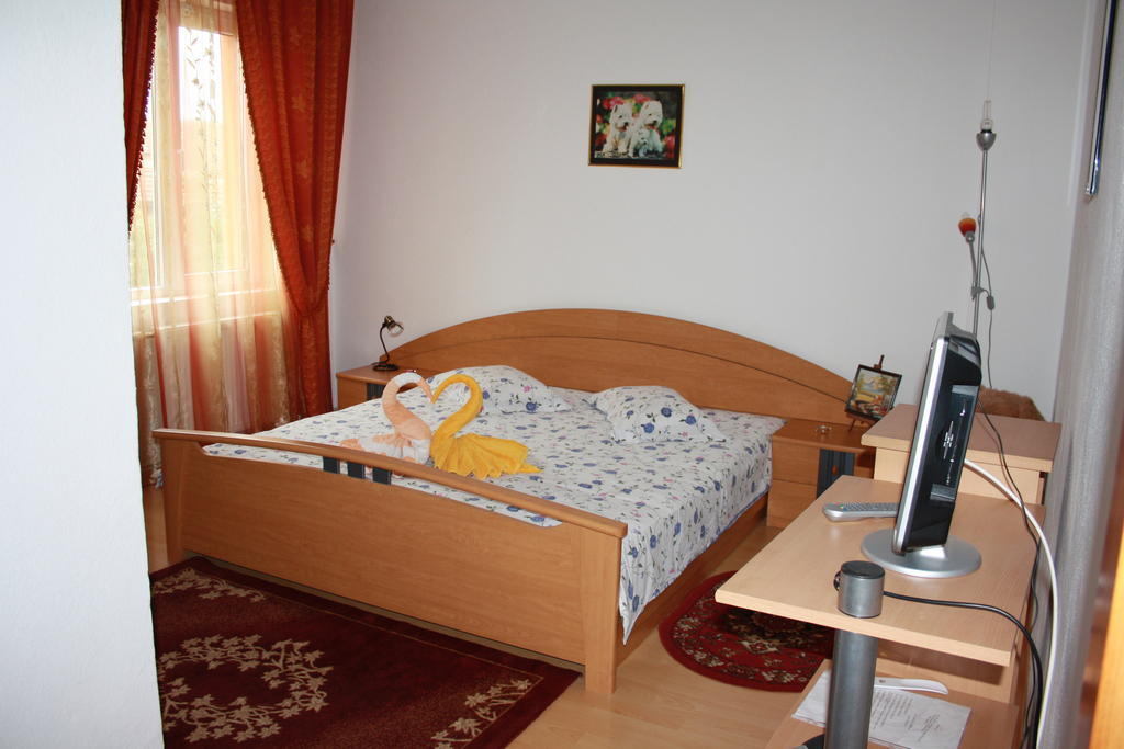 Pensiunea Claudiu Caransebes Ruang foto