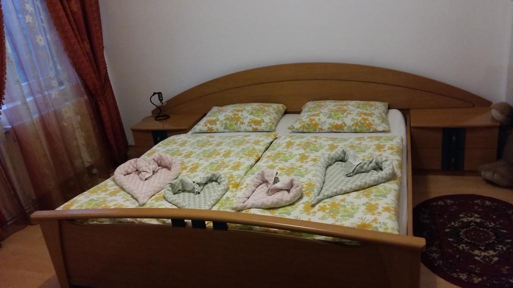 Pensiunea Claudiu Caransebes Bagian luar foto